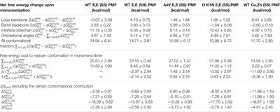 First Principles Calculation of Protein–Protein Dimer Affinities of ALS-Associated SOD1 Mutants